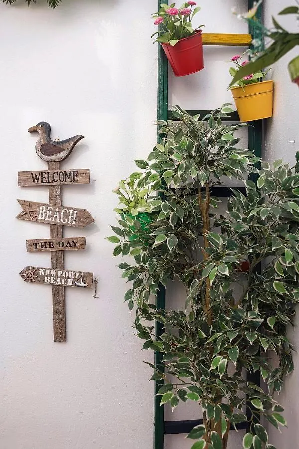 Hostal Colon Cadiz 0*,  Spain
